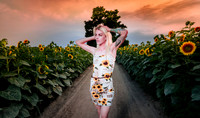 Sunflower Farm