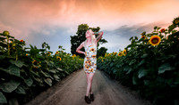 Sunflower Farm