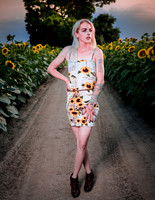 Sunflower Farm