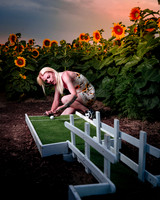 Sunflower Farm