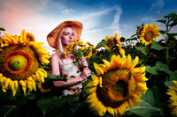Sunflower Farm