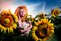 Sunflower Farm