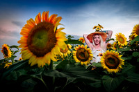 Sunflower Farm