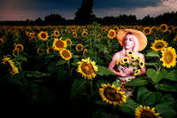 Sunflower Farm