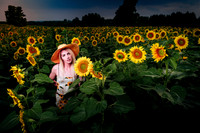 Sunflower Farm