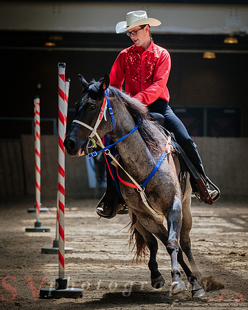 Horsecapades