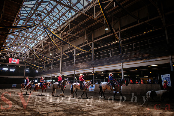 Horsecapades