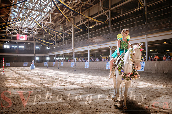Horsecapades
