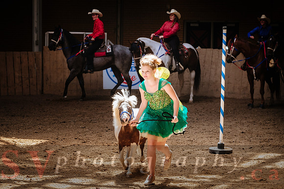 Horsecapades