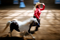 Horsecapades