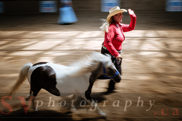Horsecapades