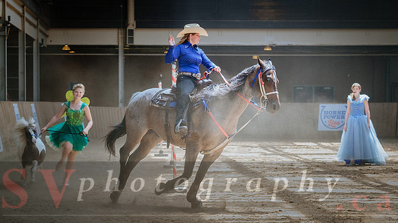 Horsecapades