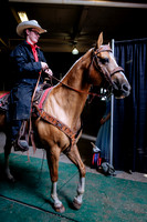 Horsecapades