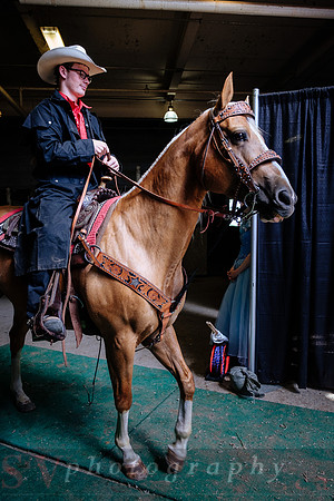 Horsecapades