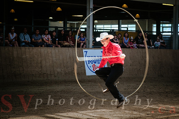 Horsecapades