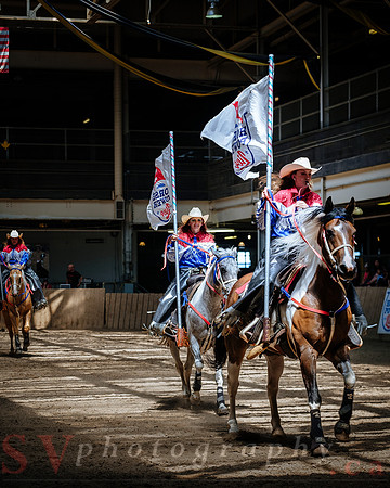 Horsecapades