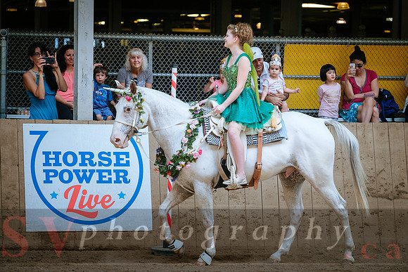 Horsecapades