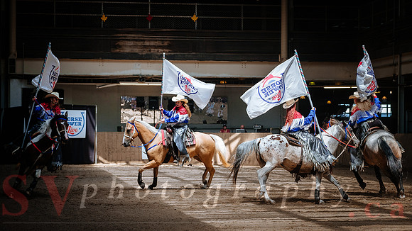 Horsecapades