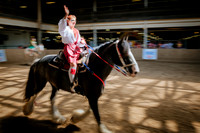 Horsecapades