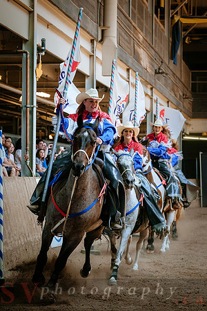 Horsecapades