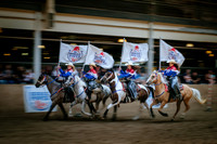Horsecapades