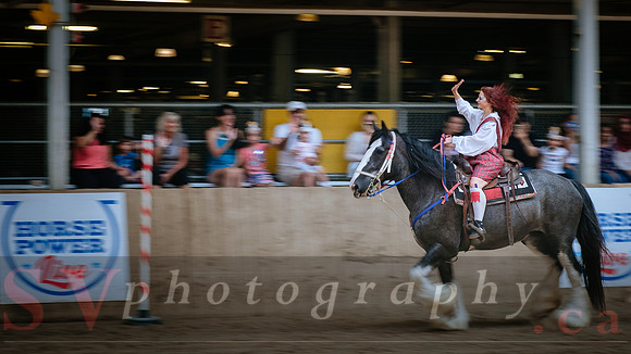 Horsecapades