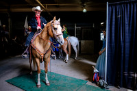 Horsecapades