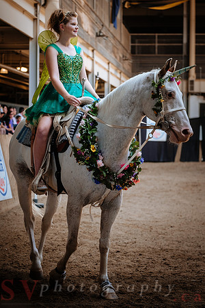 Horsecapades