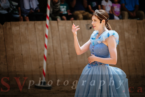 Horsecapades