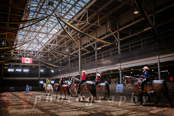 Horsecapades