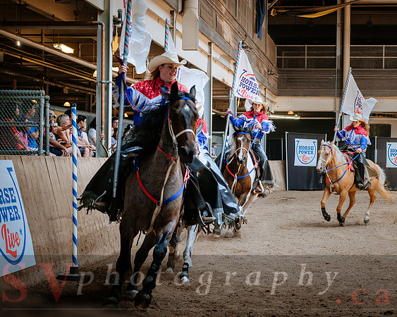 Horsecapades