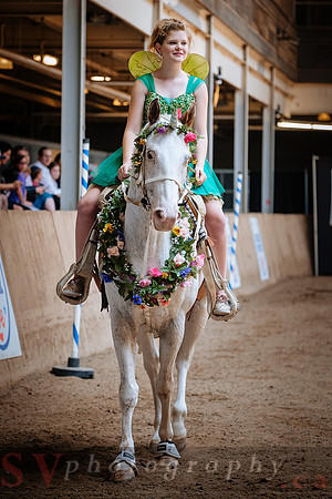 Horsecapades