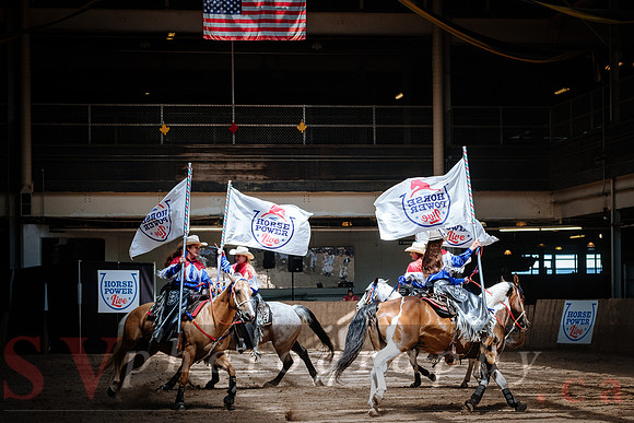 Horsecapades