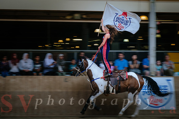Horsecapades