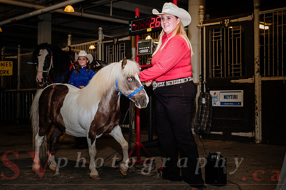 Horsecapades