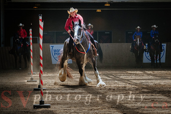 Horsecapades