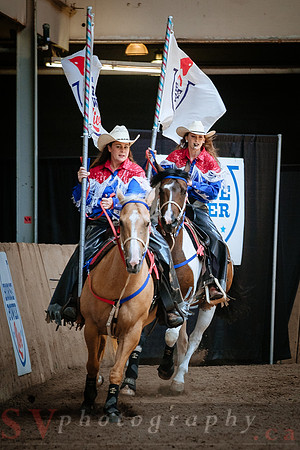 Horsecapades