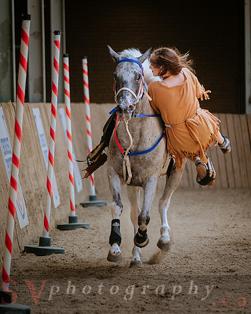 Horsecapades
