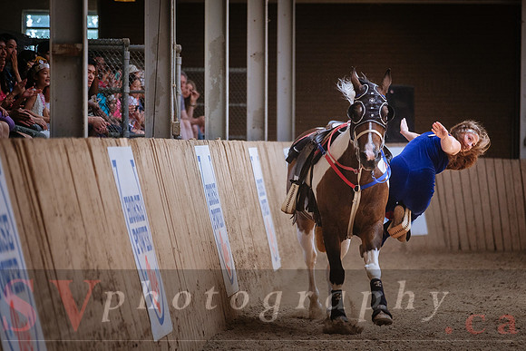 Horsecapades