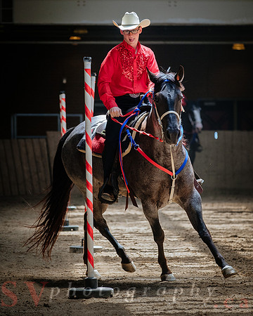 Horsecapades