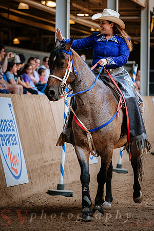 Horsecapades