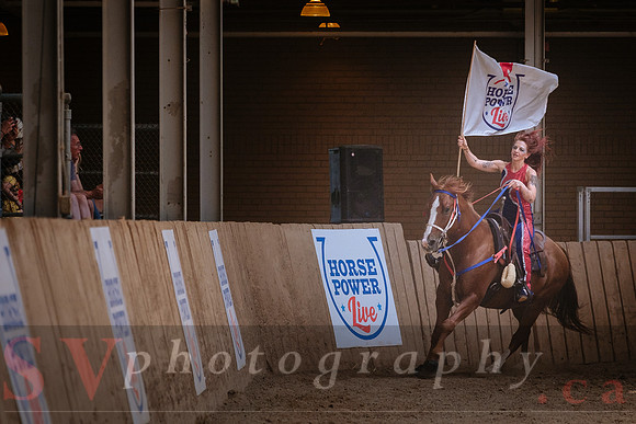 Horsecapades