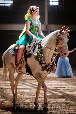 Horsecapades