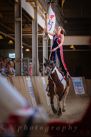 Horsecapades