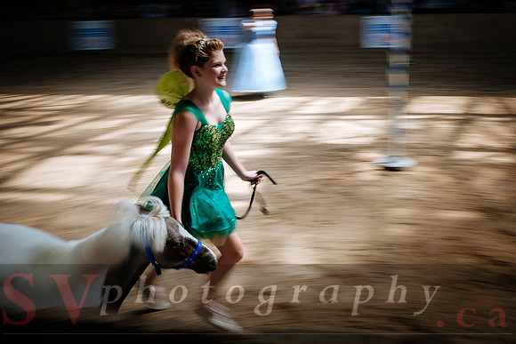 Horsecapades