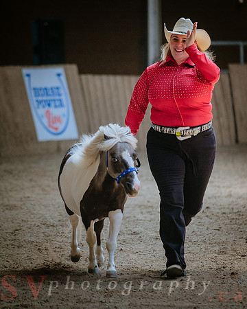 Horsecapades