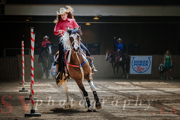 Horsecapades