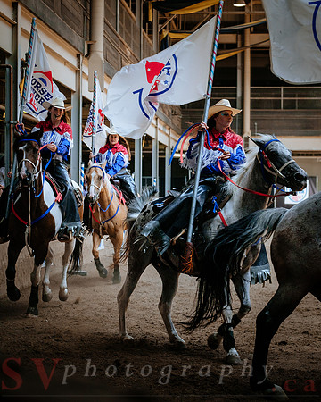 Horsecapades
