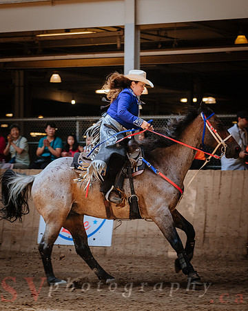Horsecapades