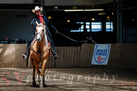 Horsecapades